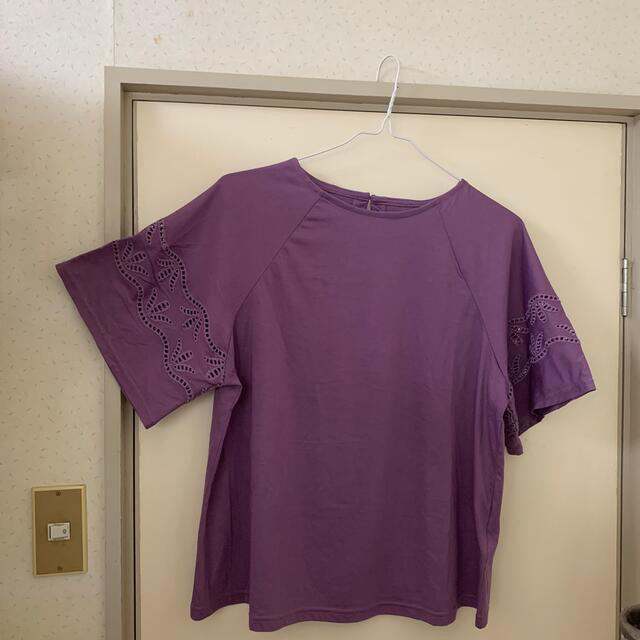 FELISSIMO(フェリシモ)の<新品> フェリシモ　カットワークレースのTシャツ レディースのトップス(Tシャツ(半袖/袖なし))の商品写真