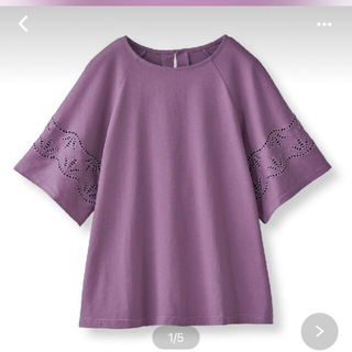 フェリシモ(FELISSIMO)の<新品> フェリシモ　カットワークレースのTシャツ(Tシャツ(半袖/袖なし))