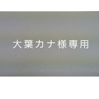 大葉カナ様専用(その他)