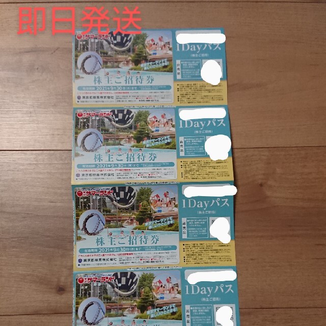 東京サマーランド 株主優待 株主ご招待券 5枚 【 新品 】 30%割引