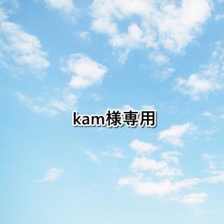 アンドロイド(ANDROID)のkam様専用 Type-Cケーブル iPhone用ケーブル2mセット(バッテリー/充電器)