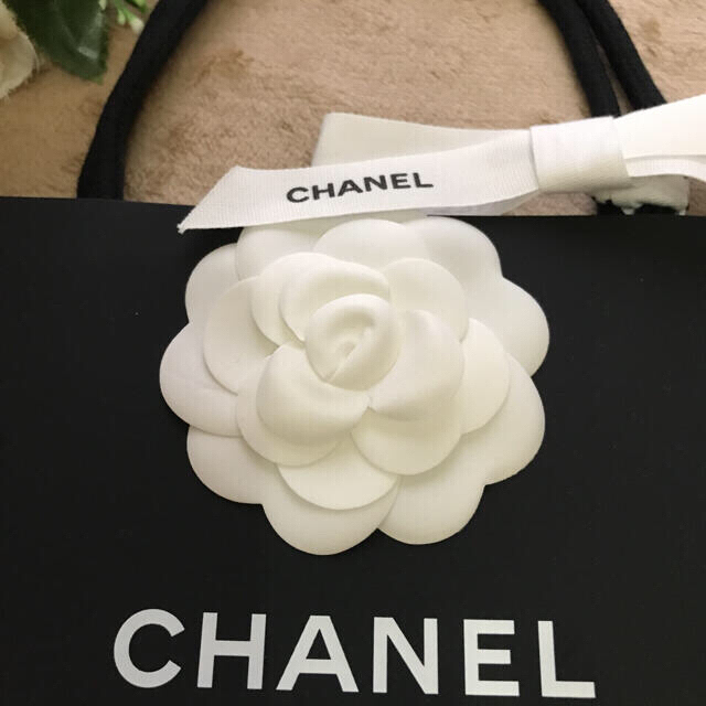 CHANEL(シャネル)の❤️CHANEL❤️カメリアとおリボン付きショッパー🎀とマスクケース❤️セット レディースのバッグ(ショップ袋)の商品写真