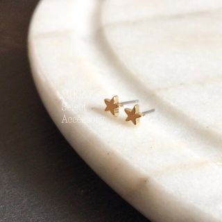 16kgp⚪︎小さなお星様ピアス(ピアス)