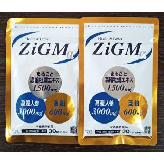 【亜鉛600mg最高配合】ZiGMα ジグムアルファ 120粒 約1カ月分×2袋(その他)