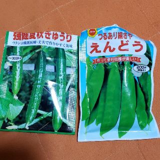 野菜種(野菜)