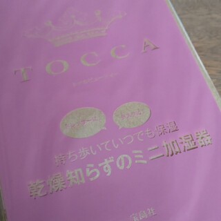 トッカ(TOCCA)の&ROSY付録TOCCA乾燥知らずのミニ加湿器❇️220(加湿器/除湿機)