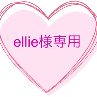 ellie様専用　(その他)