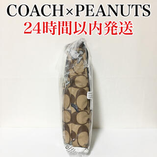 コーチ(COACH)の【新品】COACH×PEANUTS スヌーピー シグネチャー 折り畳み傘(傘)