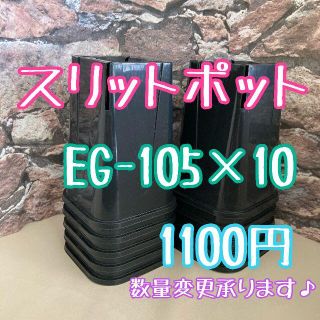 ◎10個◎ロング スリットポット EG-105L slitpot プラ鉢(プランター)