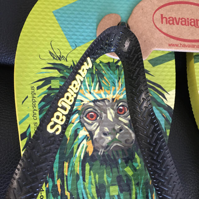 havaianas(ハワイアナス)の美品　ハワイアナス　メンズ　サンダル　43-44 サイズ28センチ メンズの靴/シューズ(ビーチサンダル)の商品写真