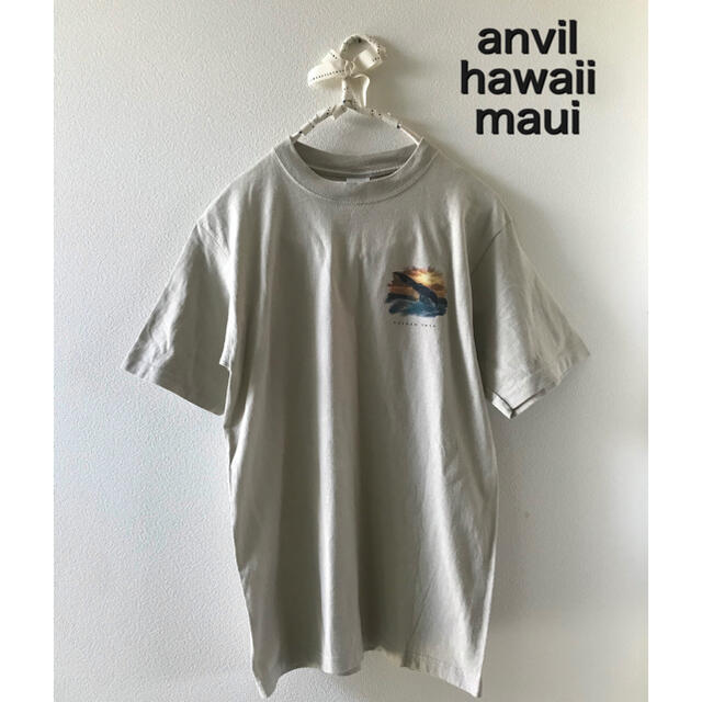 Anvil(アンビル)のハワイにて購入　anvil Tシャツ レディースのトップス(Tシャツ(半袖/袖なし))の商品写真