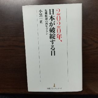 ２０２０年、日本が破綻する日(文学/小説)