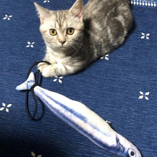 猫 けりぐるみ 魚 2種類 ビッグサイズ 30cm 大きい サンマ＆サバ の通販 by mam's shop｜ラクマ