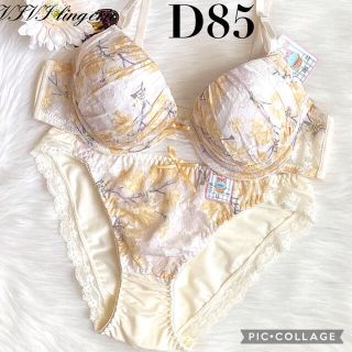 ブラジャー＆ショーツセットD85(ブラ&ショーツセット)