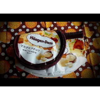 マカデミアナッツ☆保冷バッグ☆ハーゲンダッツ☆Haagen-Dazs(ノベルティグッズ)