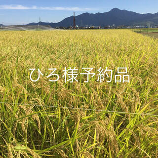 ［ひろ様予約品］長野県産 天日干しコシヒカリ精米15kg(米/穀物)