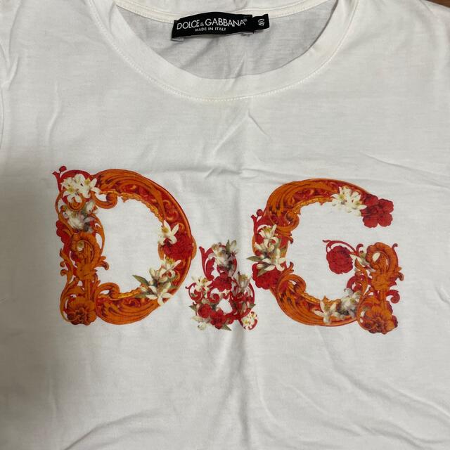 DOLCE&GABBANA(ドルチェアンドガッバーナ)のD&G Tシャツ 40（日本M相当) メンズのトップス(Tシャツ/カットソー(半袖/袖なし))の商品写真