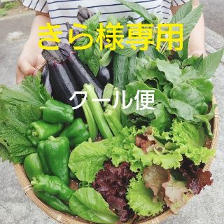 きら様専用　クール便(野菜)