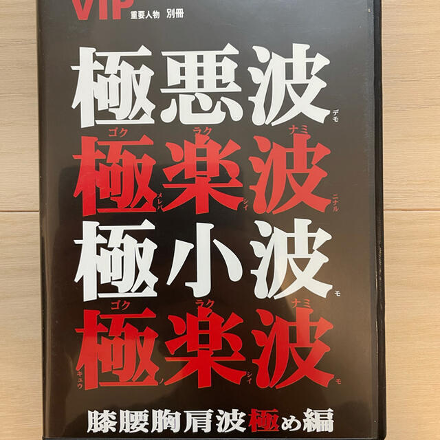 サーフィンDVD 4本セット 極楽波 VIPシリーズ スポーツ/アウトドアのスポーツ/アウトドア その他(サーフィン)の商品写真