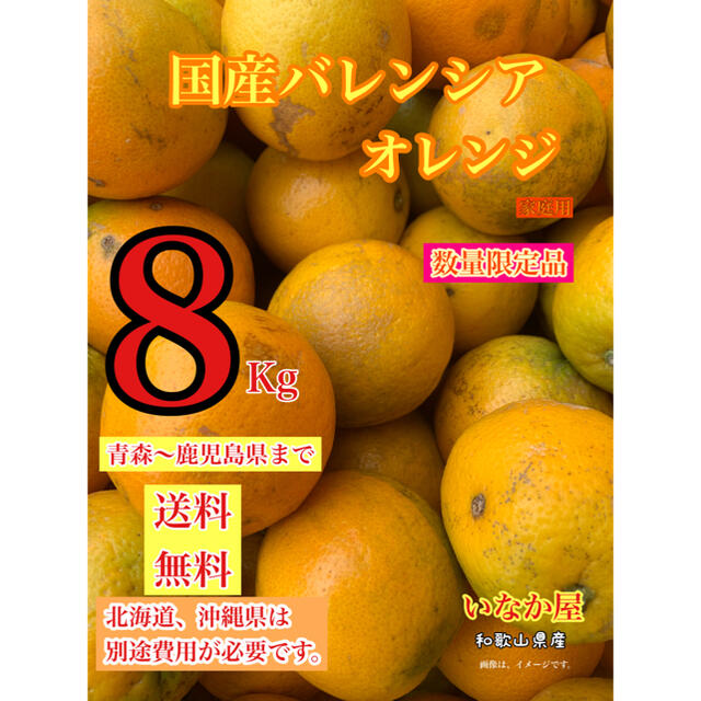 国産　バレンシア  オレンジ　家庭用　訳あり　フルーツ　柑橘 食品/飲料/酒の食品(フルーツ)の商品写真