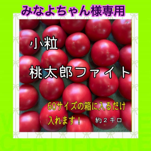 専用ページです！ 食品/飲料/酒の食品(野菜)の商品写真