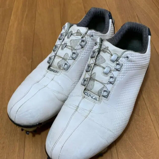 FootJoy(フットジョイ)のゴルフシューズ スポーツ/アウトドアのゴルフ(シューズ)の商品写真