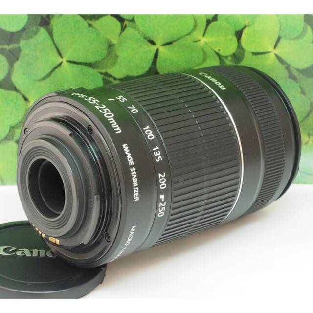 Canon - 【美品】キャノンEF-S55-250mm ISⅡ手ブレ補正⭐️イベントで