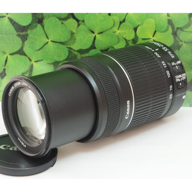 Canon - 【美品】キャノンEF-S55-250mm ISⅡ手ブレ補正⭐️イベントで