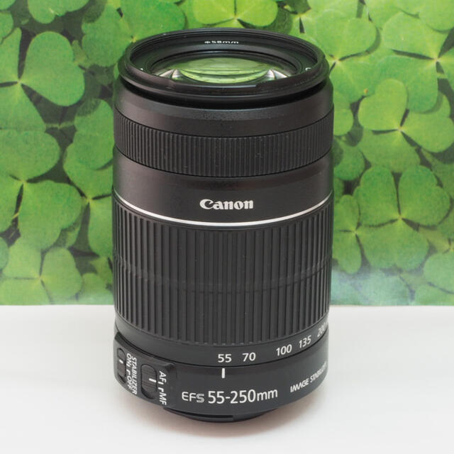 Canon - 【美品】キャノンEF-S55-250mm ISⅡ手ブレ補正⭐️イベントで