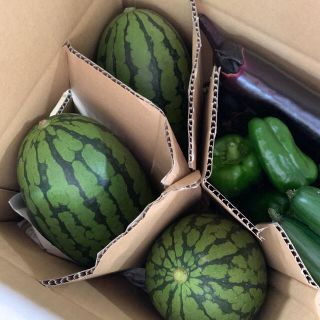 無農薬　スイカ　野菜詰め合わせ　100サイズ(野菜)