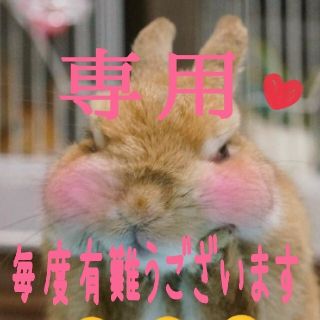 みち様専用 お米 岩手県産ひとめぼれ 30kg  精米済 白米 米(米/穀物)