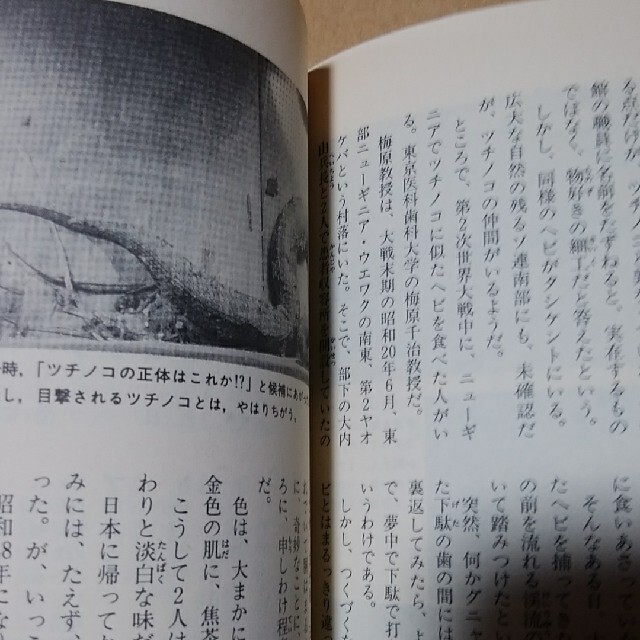 (2冊)ツチノコの正体 神秘の現世動物 幻のツチノコを捕獲せよ