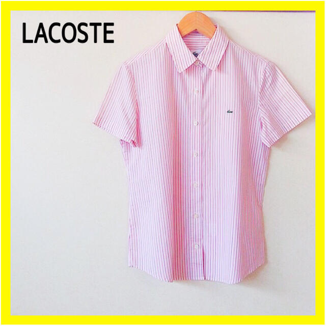 LACOSTE - 美品⭐️未使用LACOSTE半袖カッターシャツストライプ ピンク