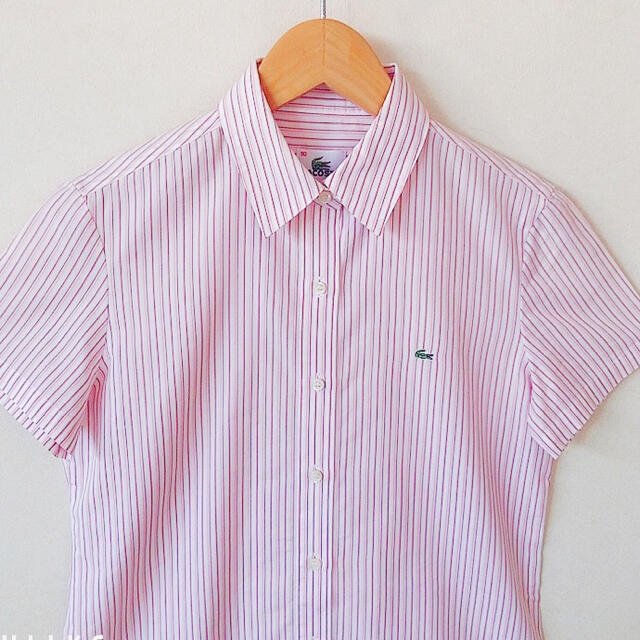 LACOSTE - 美品⭐️未使用LACOSTE半袖カッターシャツストライプ ピンク