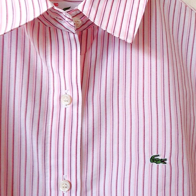 LACOSTE - 美品⭐️未使用LACOSTE半袖カッターシャツストライプ ピンク