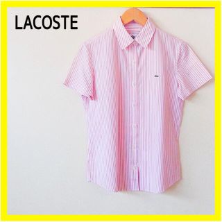 新品未使用 LACOSTE  カッターシャツ (半袖)