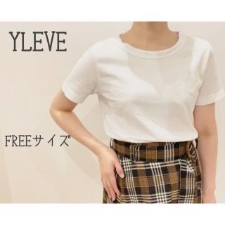 マーガレットハウエル(MARGARET HOWELL)の【美品】YLEVE イレーヴ Ｔシャツ 白 フリーサイズ(Tシャツ(半袖/袖なし))