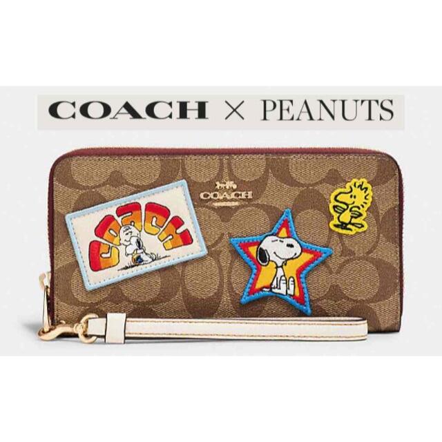 COACH - COACH X PEANUTSコーチスヌーピーコラボ♡シグネチャー ...