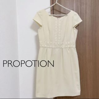 プロポーションボディドレッシング(PROPORTION BODY DRESSING)の✿CHR様専用(ミニワンピース)