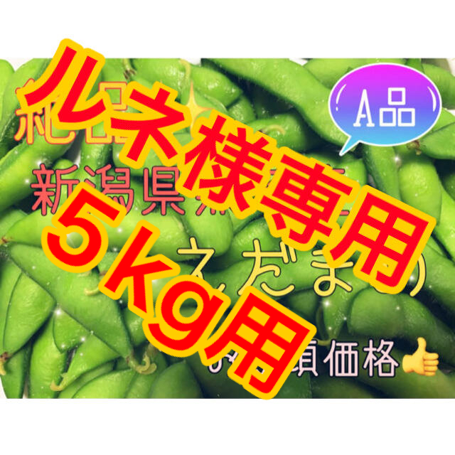 家飲み【茶豆】新潟県 黒埼産 えだまめ 5kg  A品