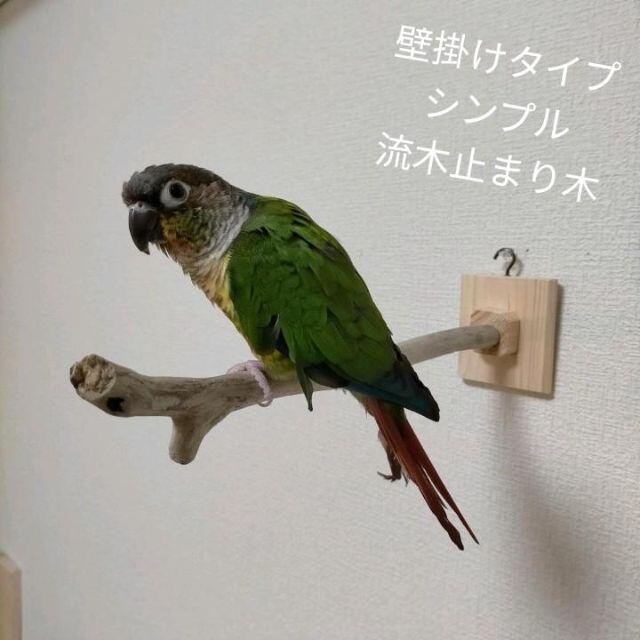 鳥さんグッズ 流木止まり木 壁掛け その他のペット用品(鳥)の商品写真