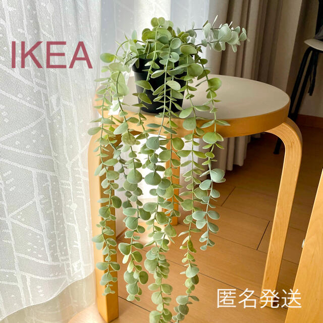 IKEA(イケア)の【新品】IKEA イケア フェイクグリーン（ユーカリ）2点 フェイカ インテリア/住まい/日用品のインテリア小物(その他)の商品写真