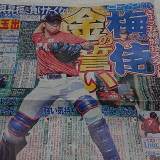 ハンシンタイガース(阪神タイガース)の阪神タイガース 梅野隆太郎さん 日刊スポーツ新聞記事(印刷物)