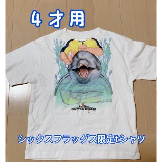 Tシャツ　海外限定　イルカ　トレーナー(Tシャツ/カットソー)