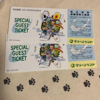 2枚　グリーンランド　株主優待券(遊園地/テーマパーク)