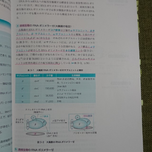 コンパス分子生物学 創薬・テ－ラ－メイド医療に向けて 改訂第２版 エンタメ/ホビーの本(健康/医学)の商品写真