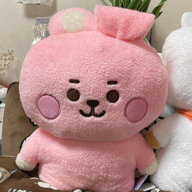 たっとん ぬいぐるみ cooky クッキー Lサイズ【本日限定価格】