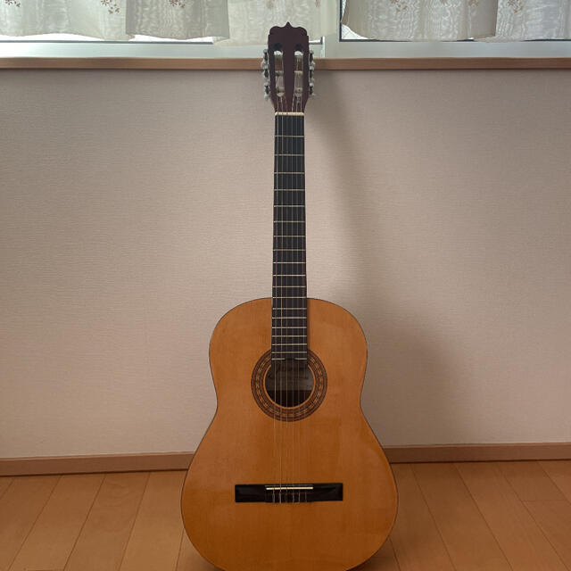 Jasmine by TAKAMINE JS441 ギター　カバー付き　レア？