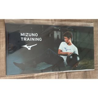 ミズノ(MIZUNO)の竹内涼真✨MIZUNO マスクケース(その他)