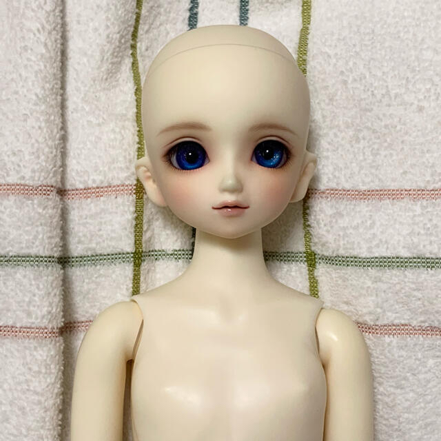 VOLKS SDM 子天使白蓮 VOLKS SDM 子天使白蓮